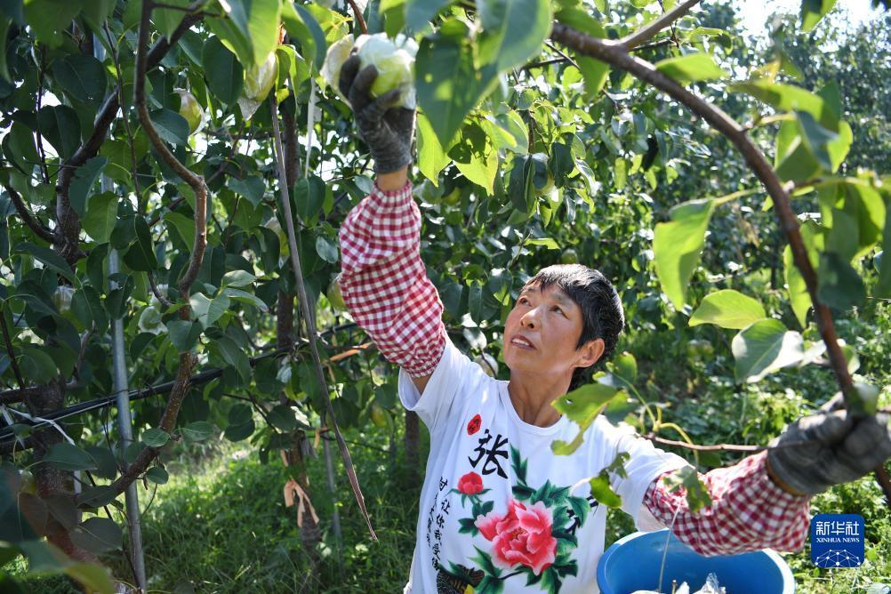 赌币机下载